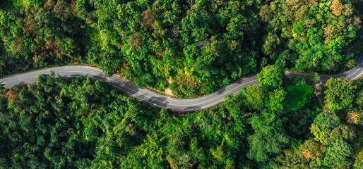 panoramic view of Green forest road , Adventure morning road trip in the forest, electric vehicle driving on asphalt road through green forest.
