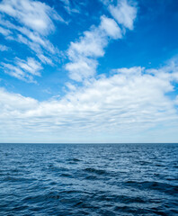 Obraz premium Generated image