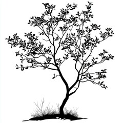 Fototapeta premium Black and White Tree Silhouette: Elegant Botanical Illustration
