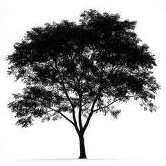 Black and White Tree Silhouette: Nature Photography, Minimalist Botanical Art