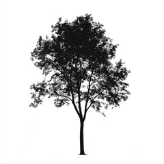Black Tree Silhouette on White Background: Nature Photography, Graphic Design, Vector Illustration