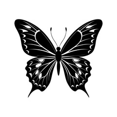 Butterfly silhouette illustration black and white