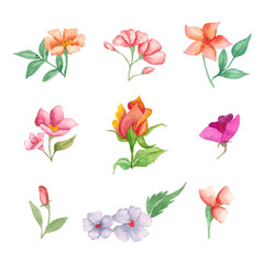 Hand paint floral design set collection & floral design 