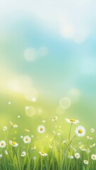 Fototapeta premium Beautiful wild flowers chamomile. Spring summer background. Landscape copy space, warm green colors and bokeh effect