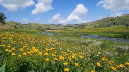 Vibrant Yellow Wildflowers in a Scenic Green Field Under Bright Blue Skies