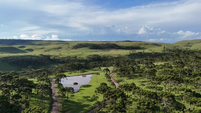Paisagem Verde