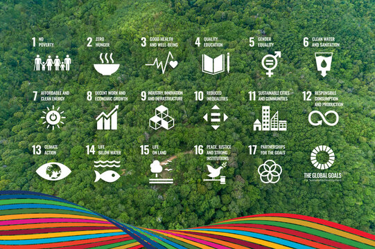 Globe Representing Sustainable Development Goals SDG on a Forest Background