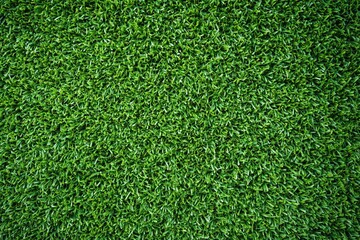 Fototapeta premium Vibrant Green Grass Texture Photography
