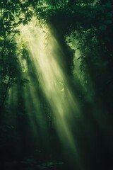 Sunlight filters through dense forest foliage, creating a mystical and serene atmosphere in a lush jungle.
