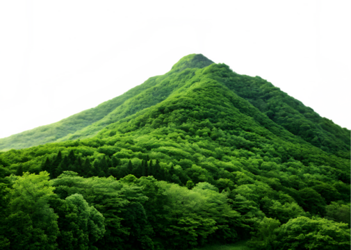 green forest in the mountains isolated on transparent background