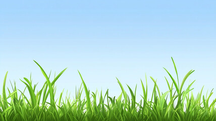 Fototapeta premium Green grass field with the clear sky.