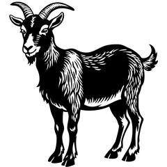 goat on a white background
