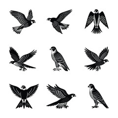 Falcon birds silhouette vector illustration