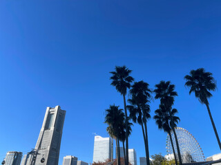Cityscape of Yokohama Minatomirai in Japan with palm trees
