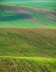 A picturesque view of an expansive agricultural field, showcasing rows of crops or fertile land stretching