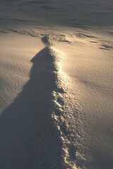 A stunning view of sunlight reflecting on a snowy landscape, highlighting the serene beauty of a winter scene at sunset.