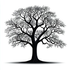 Obraz premium Majestic Silhouette of a Leafless Tree in Winter: A Black and White Nature Illustration