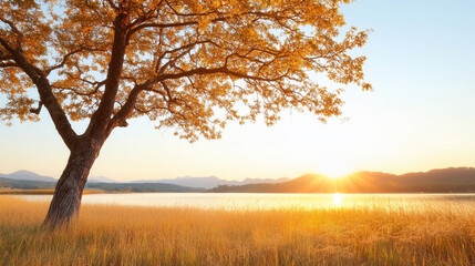 Fototapeta premium Autumn Serenity: Golden hour sunset over tranquil lake with lone tree. 