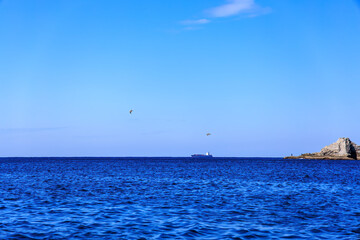Obraz premium 飛翔する美しいウミネコ（カモメ科） 英名学名：Black-tailed gull (Larus crassirostris) 静岡県伊豆半島賀茂郡南伊豆町中木ヒリゾ浜2024年 