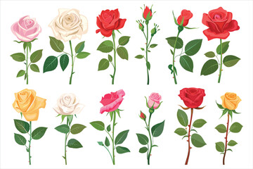 set of different color roes flowers Flat style vector illustration isolated on a white background