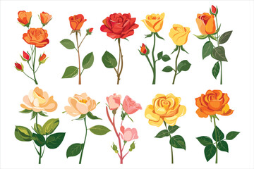 Obraz premium set of different color roes flowers Flat style vector illustration isolated on a white background