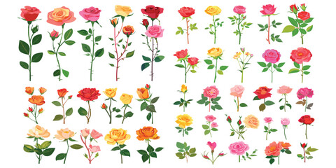 Fototapeta premium set of different color roes flowers Flat style vector illustration isolated on a white background