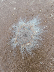 A small white spot on a brown surface