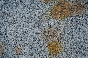 Close-up view of textured stone surface with yellow and orange patterns in natural light