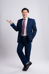 Portrait of business old man posing on white background.