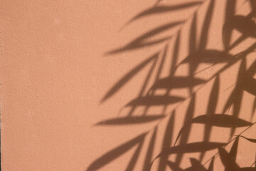 Palm leaves shadow on peach color cement plaster wall texture tropical summer background