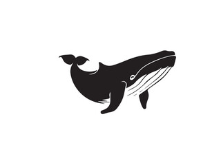 Black whale silhouette. Vector illustration of a whale silhouette. Vector black silhouette of a whale isolated on a white background.	