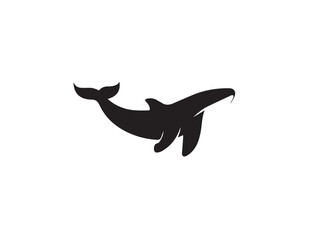 Fototapeta premium Black whale silhouette. Vector illustration of a whale silhouette. Vector black silhouette of a whale isolated on a white background. 