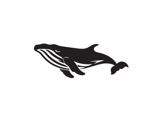 Black whale silhouette. Vector illustration of a whale silhouette. Vector black silhouette of a whale isolated on a white background.	