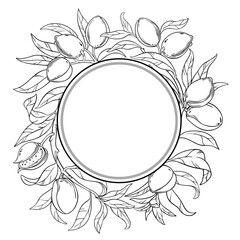 Almond Branch Plant with Nuts and Leaves Outline Circular Frame.
