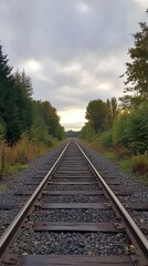 Fototapeta premium A calm view of railway tracks stretching through a vibrant green forest under a cloudy sky. This scene captures the beauty of nature and the allure of exploration.