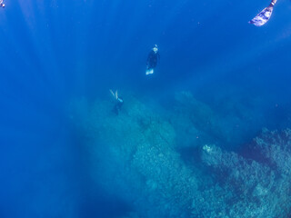 巨大なオオモンカエルアンコウと観察するスキンダイバーたち。
静岡県伊豆半島賀茂郡南伊豆町中木ヒリゾ浜2024年
英名学名：Giant Frogfish, Antennarius commersoni
自分よりも大きな獲物でも、１０倍に広がる大きな口で丸呑みにする。
その速度は0.0001秒。生物界最速のハンターである。
