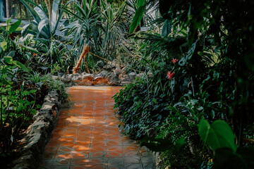 Obraz premium Tropical garden path surrounded by lush green plants and colorful flowers in midday sunlight