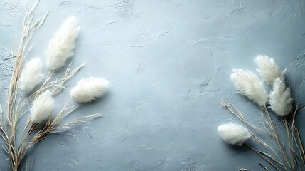 Pampas grass on blue textured background; elegant design, website header.