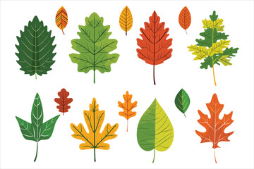 Fototapeta premium set of autumn leaves, collection of autumn leaves Flat style vector illustration isolated on a white background