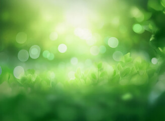 Obraz premium Sunlit green leaves, blurred bokeh background, vibrant spring foliage, soft focus. A tranquil nature scene evokes feelings of peace and renewal.