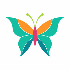 illustration butterfly