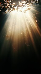 Serene Light Filtering Through Leaves as a Metaphor for Insight