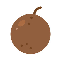 illustration of a coconut