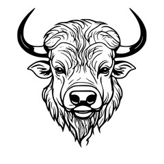 Powerful Bison Head Black and White