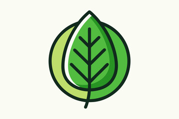 green leaf isolated on white