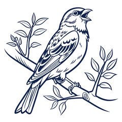 Sparrow Line Art Vector Illustration