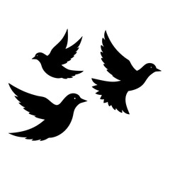 Obraz premium bird black