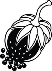 Black pepper chili vintage clip art isolated on white background