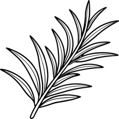 Hand-drawn black and white illustration of a sprig of rosemary
