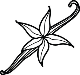 Detailed hand-drawn vector illustration of vanilla orchid flowers with sticks
